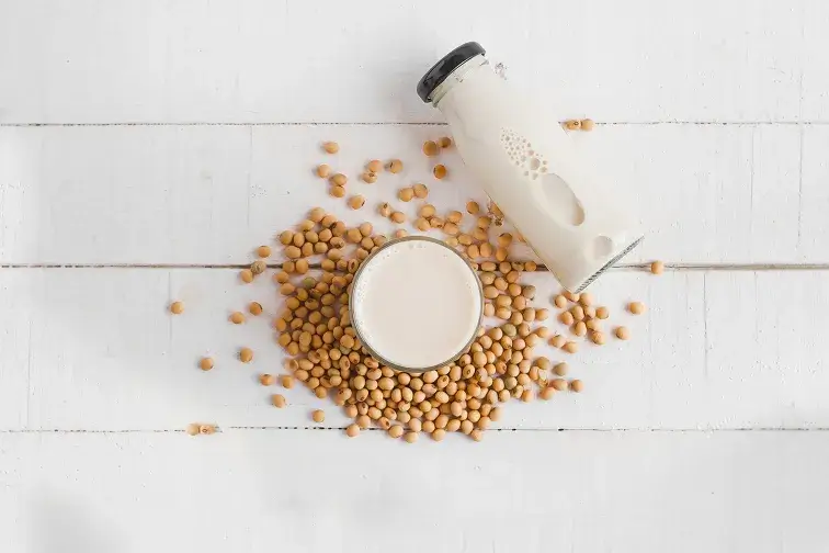 Soluções para Laticínios