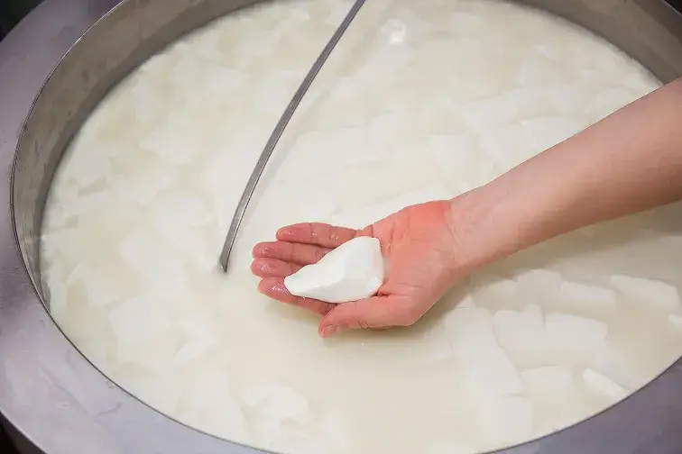 Insumos para Laticínios